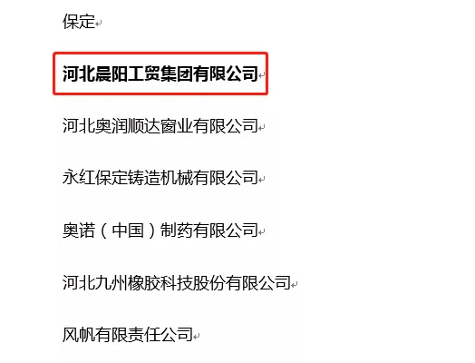 河北冠军企业、科学技术进步奖一等奖！开云手机在线登陆入口-开云(中国)再获技术殊荣